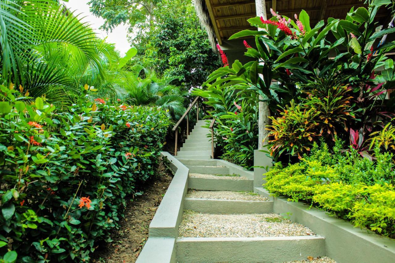 Hotel Isabella Tayrona Los Naranjos Zewnętrze zdjęcie
