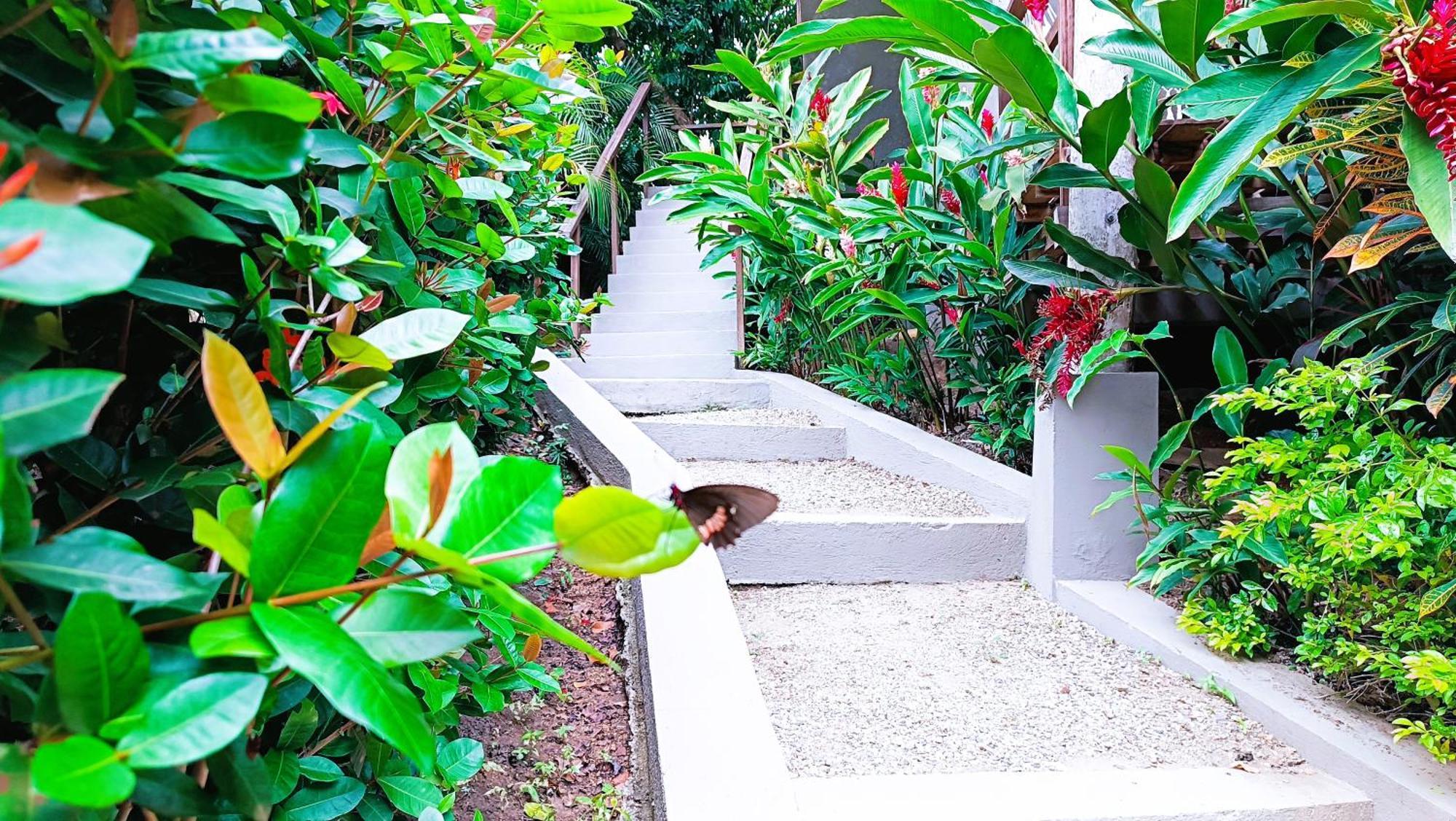 Hotel Isabella Tayrona Los Naranjos Zewnętrze zdjęcie