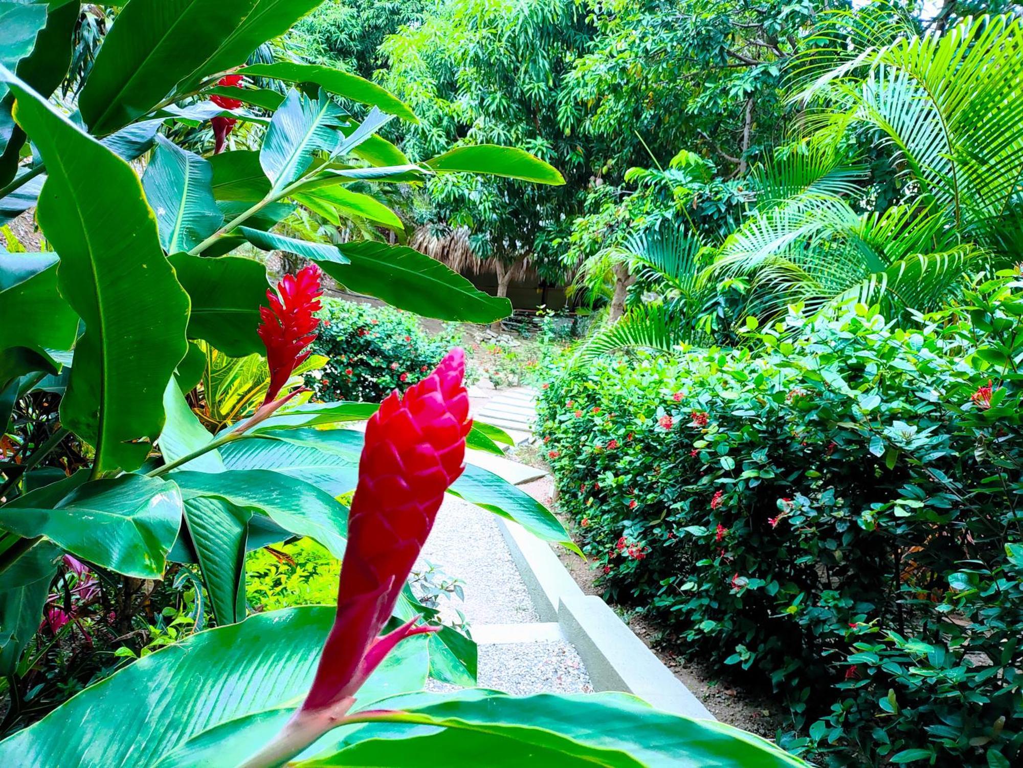 Hotel Isabella Tayrona Los Naranjos Zewnętrze zdjęcie