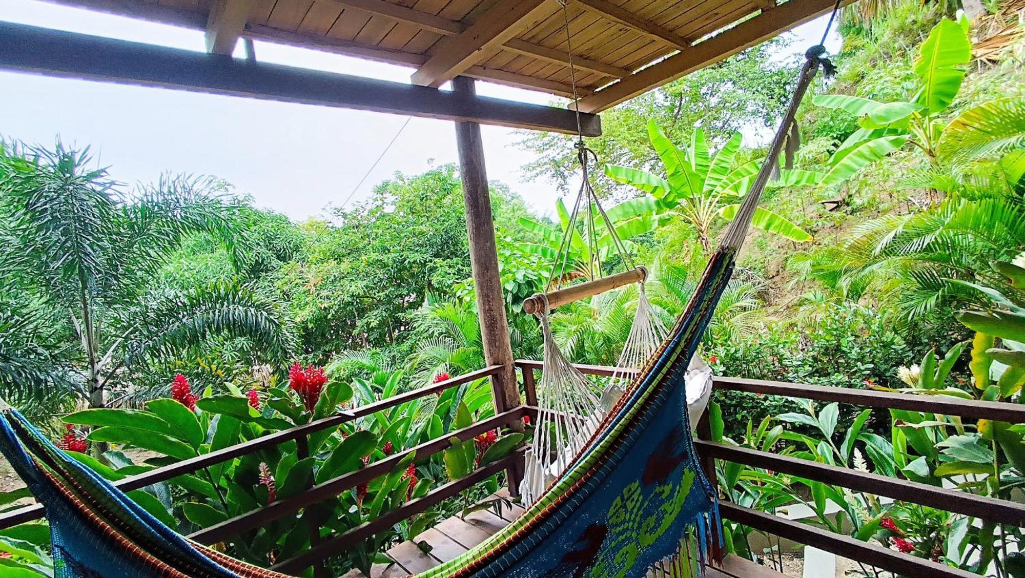 Hotel Isabella Tayrona Los Naranjos Zewnętrze zdjęcie