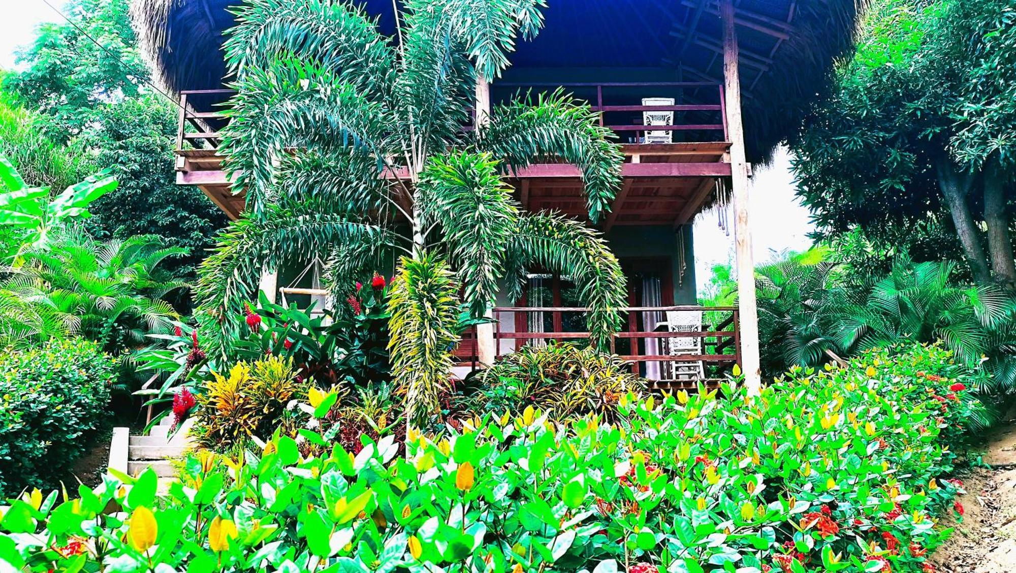 Hotel Isabella Tayrona Los Naranjos Zewnętrze zdjęcie