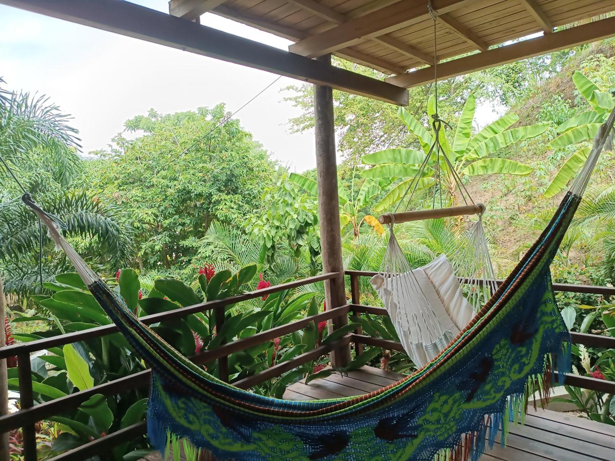 Hotel Isabella Tayrona Los Naranjos Zewnętrze zdjęcie
